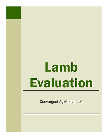 Lamb Carcass Evaluation Manual